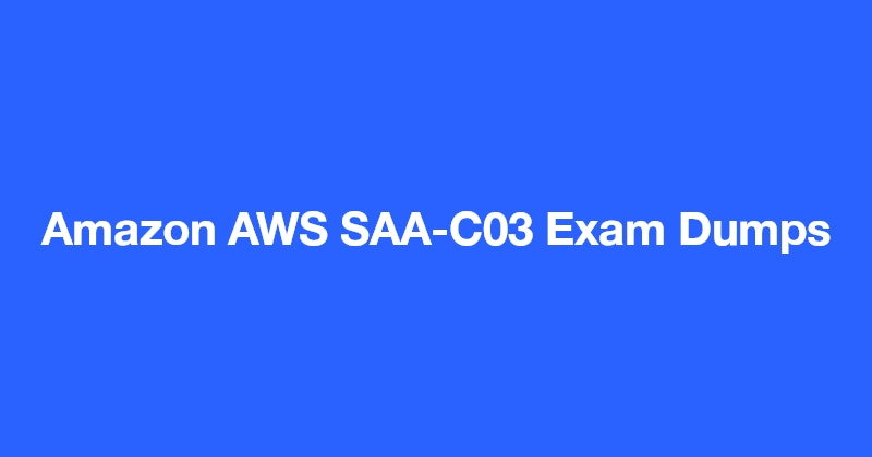  AWS SAA-C03 Exam