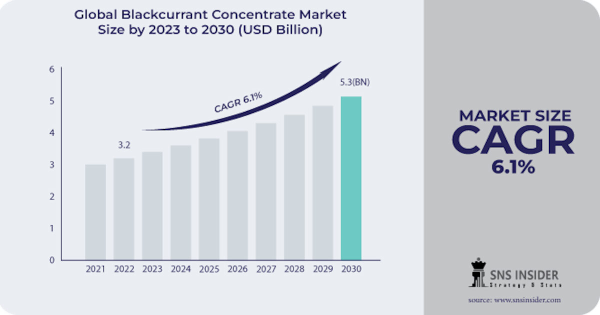 Blackcurrant Concentrate Market Analysis Size, Share and Overview 2031.
